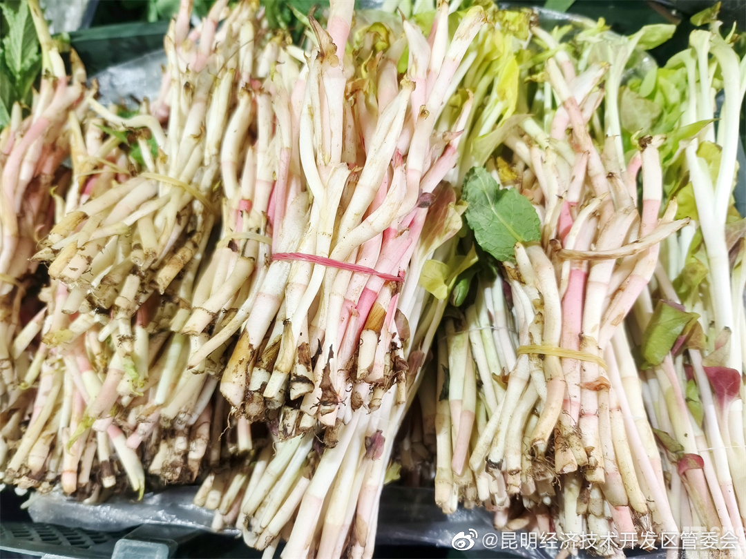 昆明经济技术开发区管委会