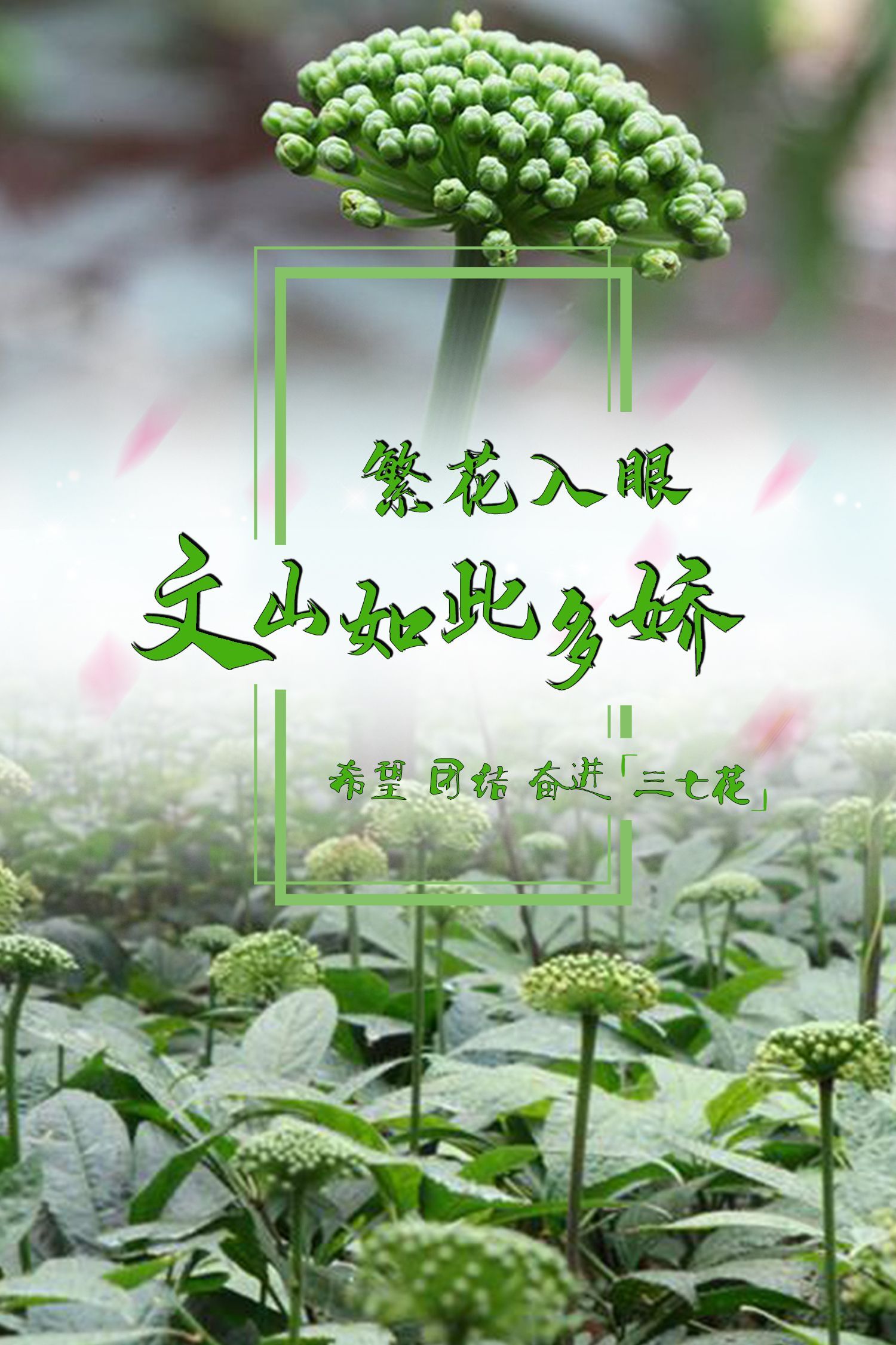 云南省文化和旅游厅