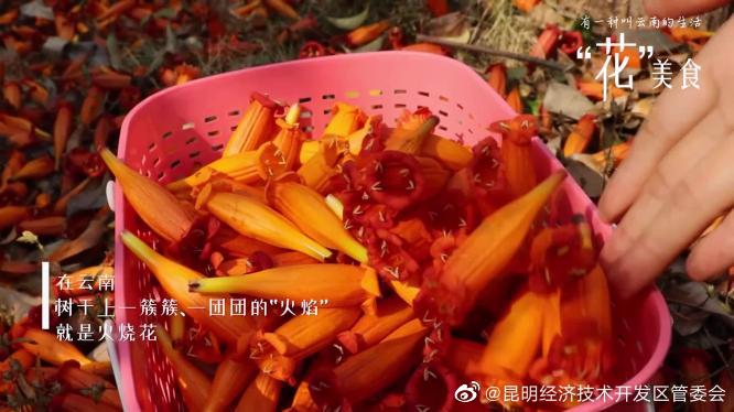 昆明经济技术开发区管委会