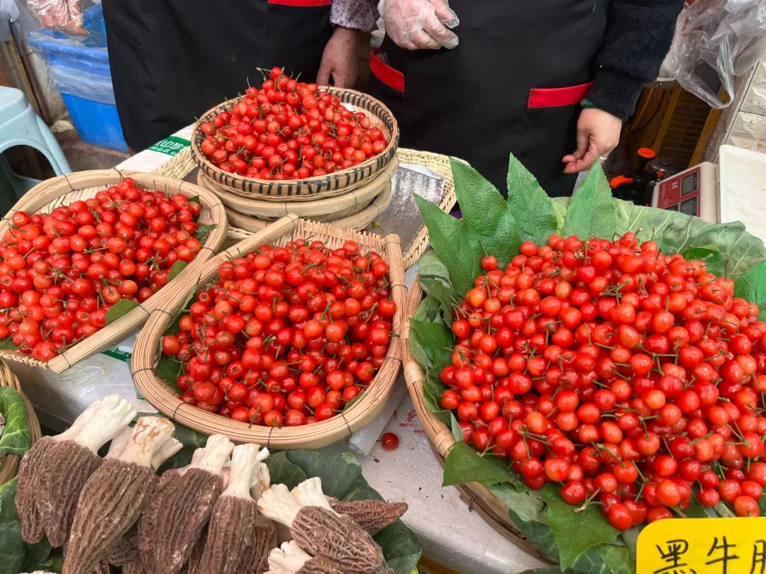 昆明信息港/cnkmxxg