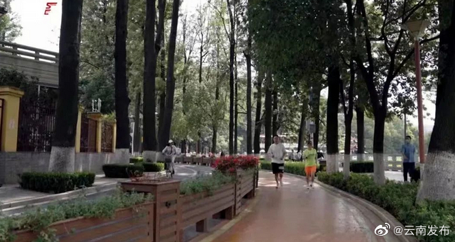 昆明翠湖将建全封闭步行系统，禁止车辆通行