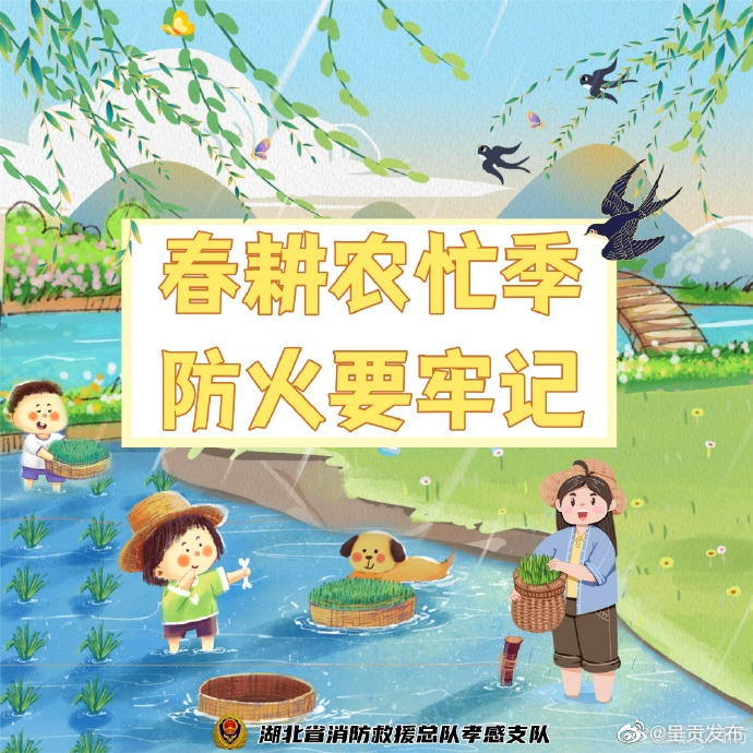 呈贡发布