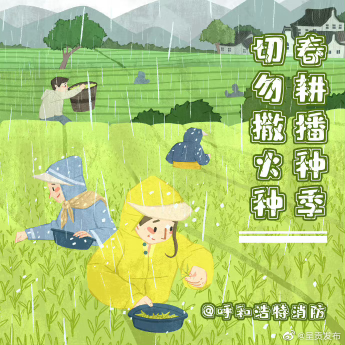呈贡发布
