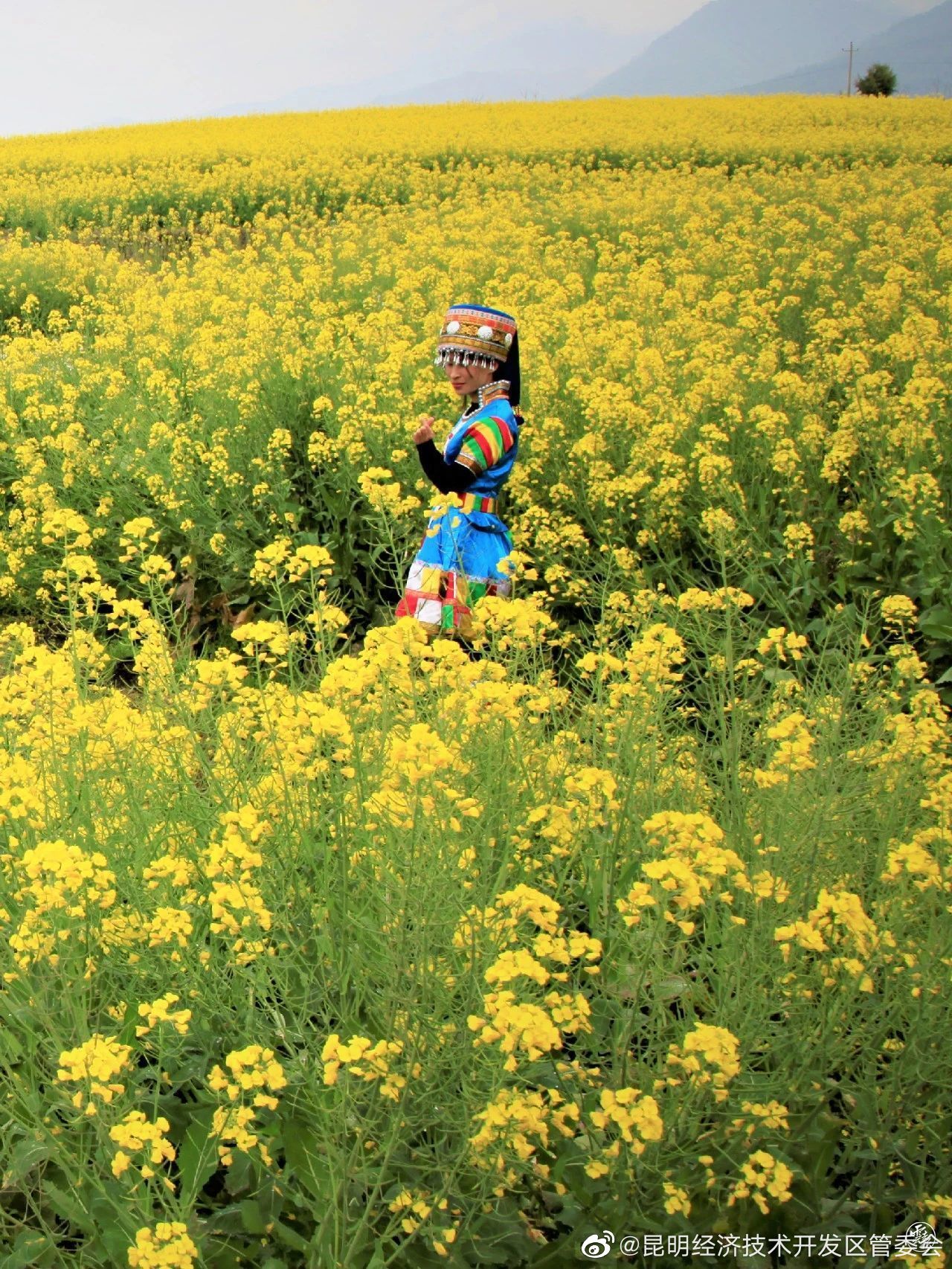 昆明经济技术开发区管委会