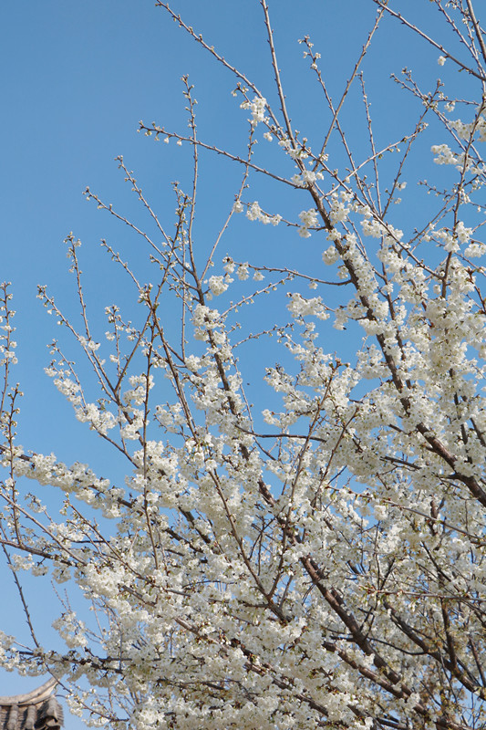 云南省文化和旅游厅