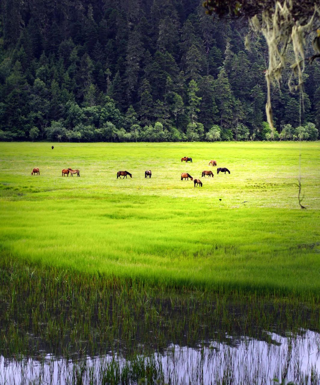 一部手机游云南