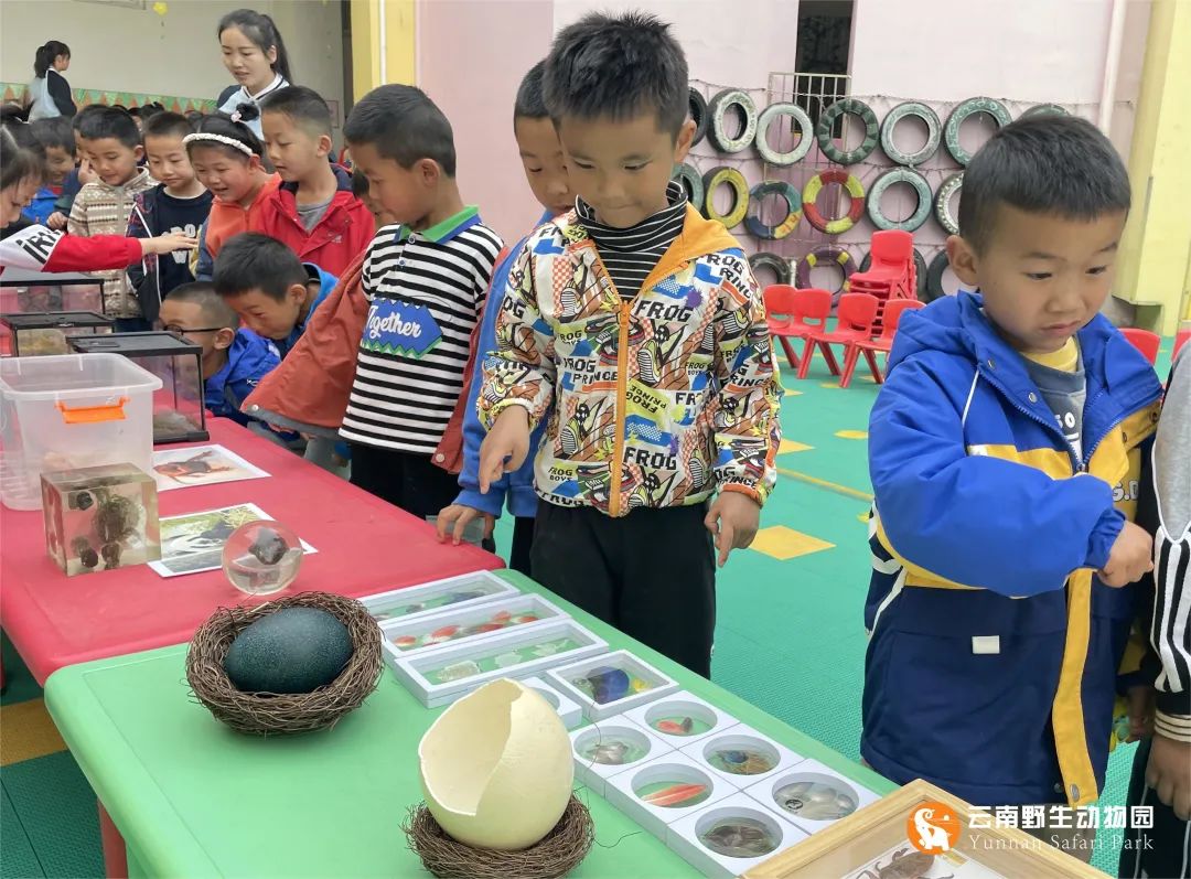 云南野生动物园