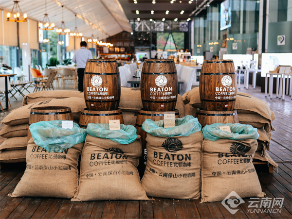 云南省文化和旅游厅