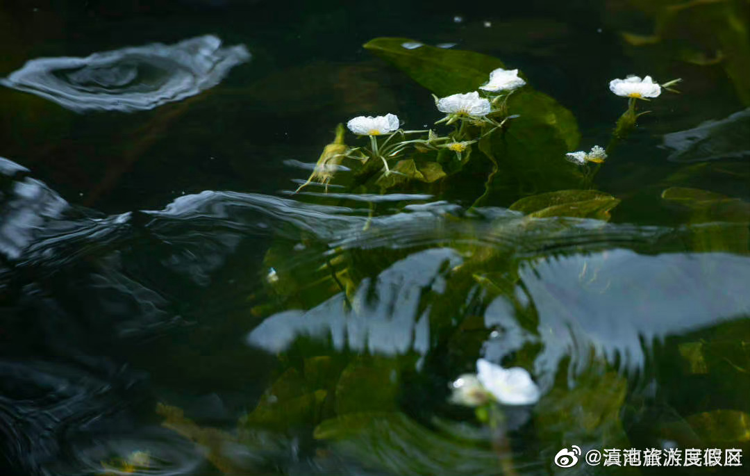 滇池旅游度假区