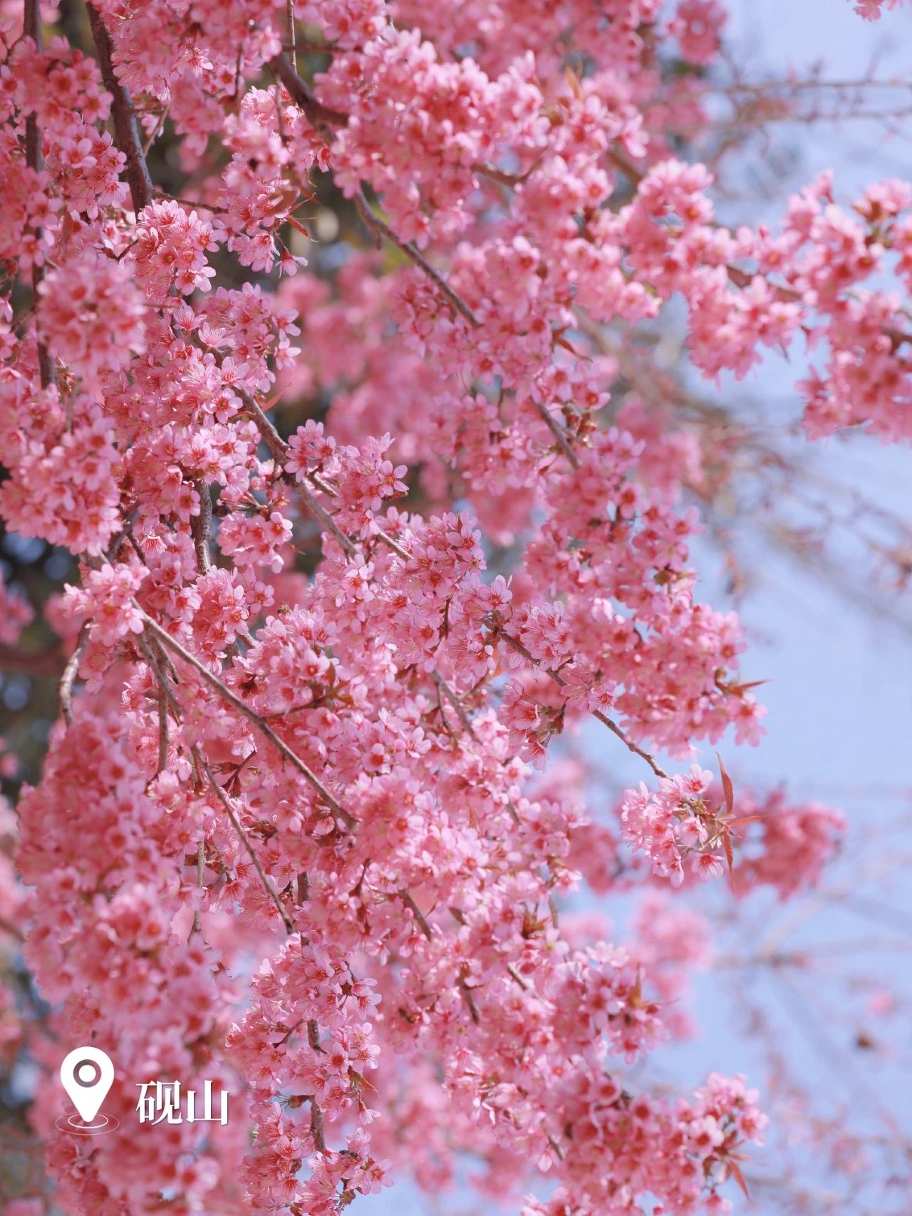 云南省文化和旅游厅