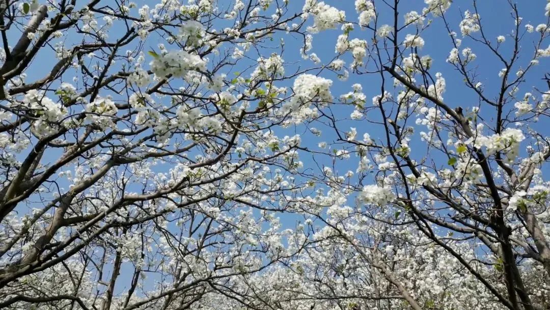 红河日报