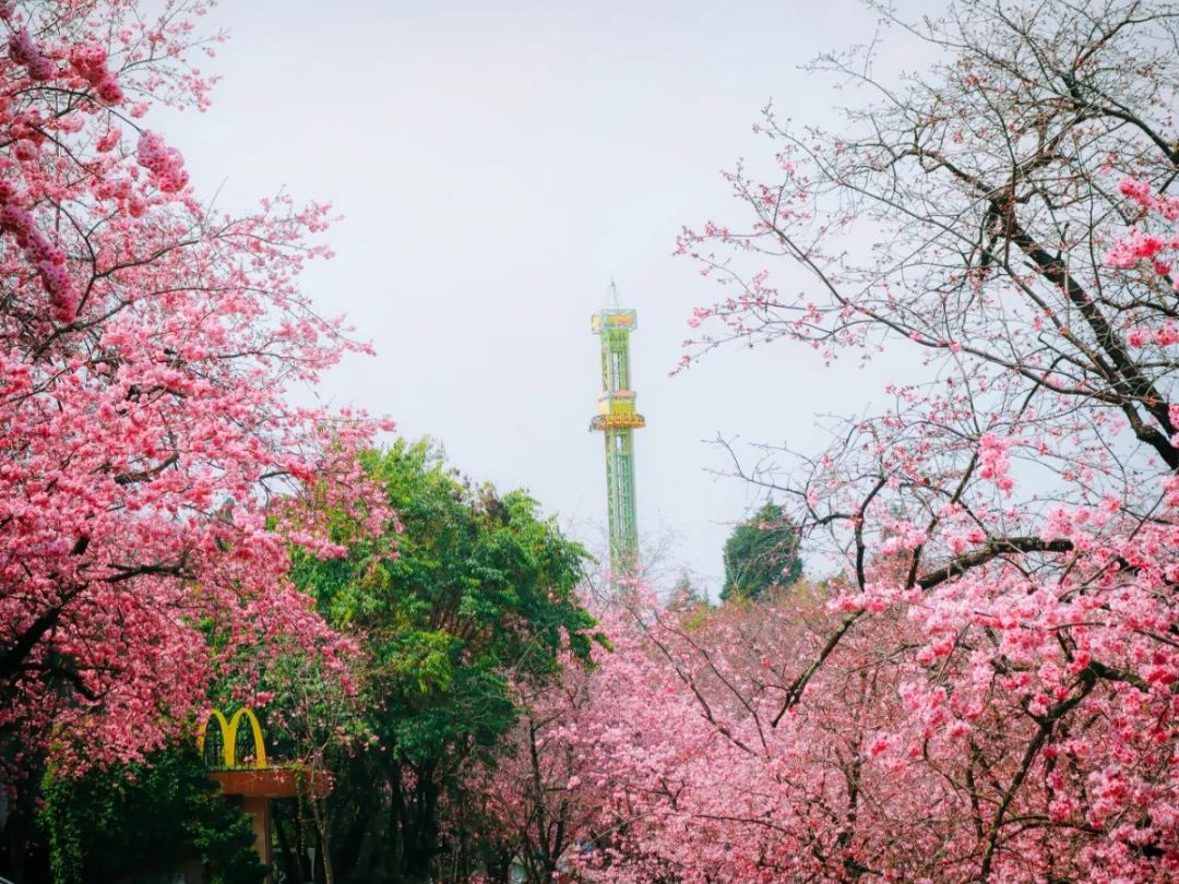 一部手机游云南