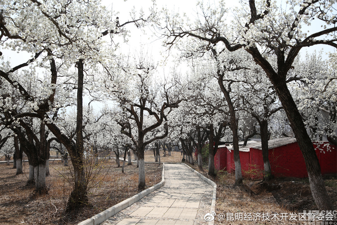 昆明经济技术开发区管委会