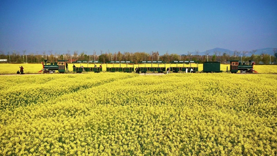 云南省文化和旅游厅