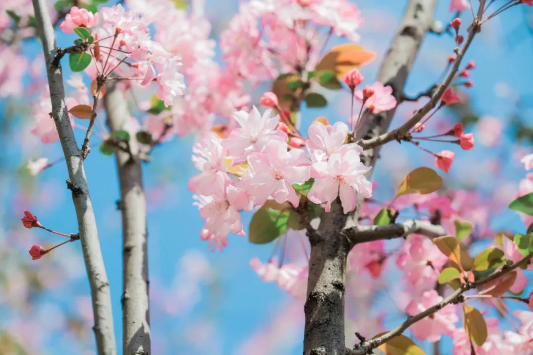 一部手机游云南
