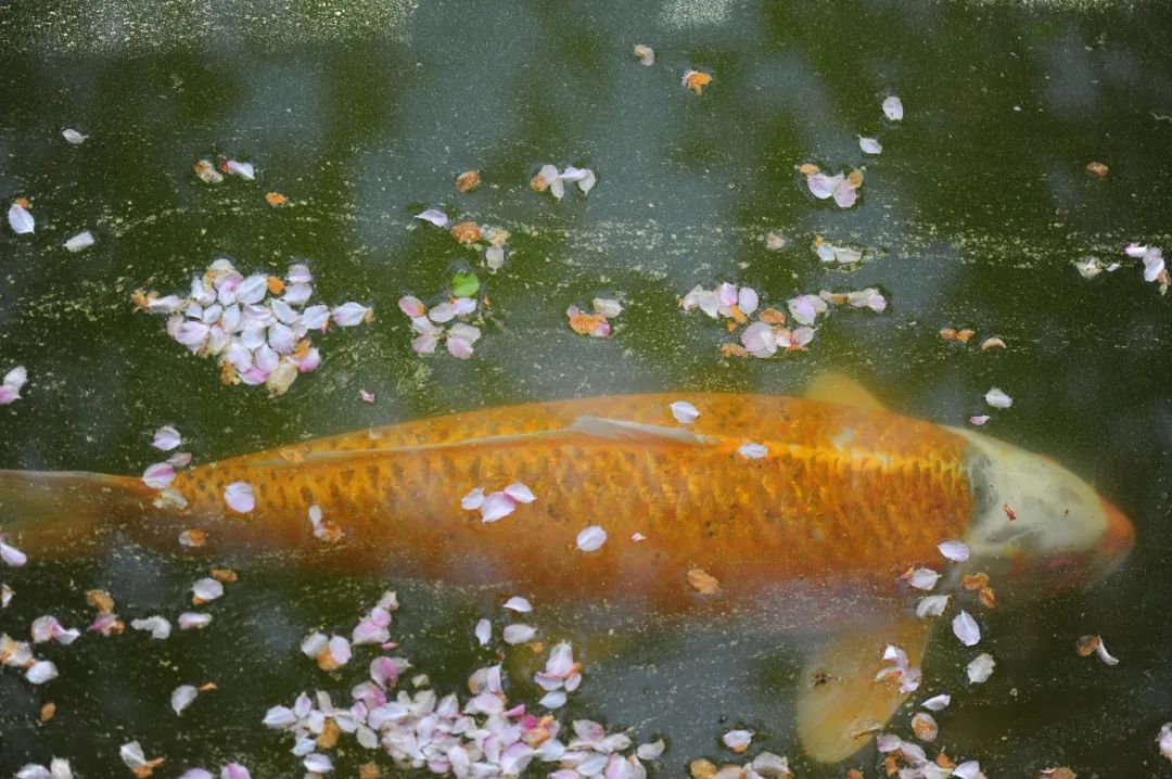 昆明市金殿名胜区