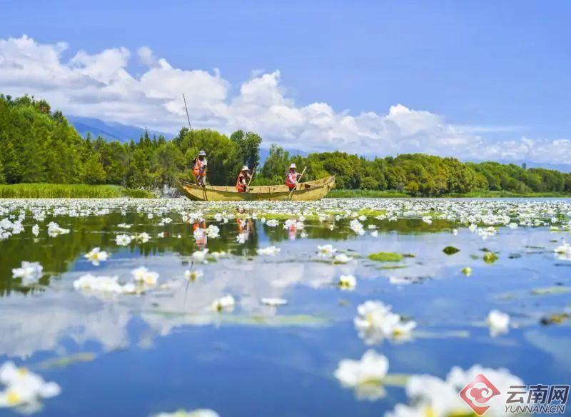 云南省文化和旅游厅