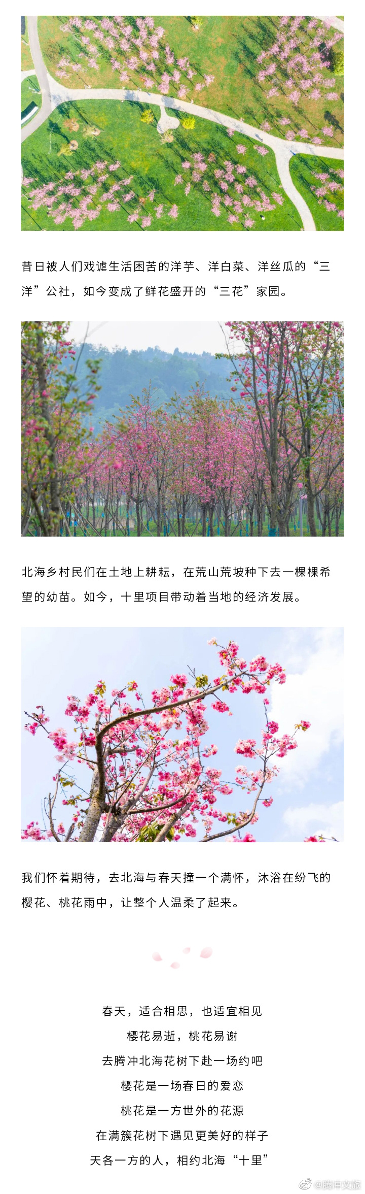 腾冲文旅微博