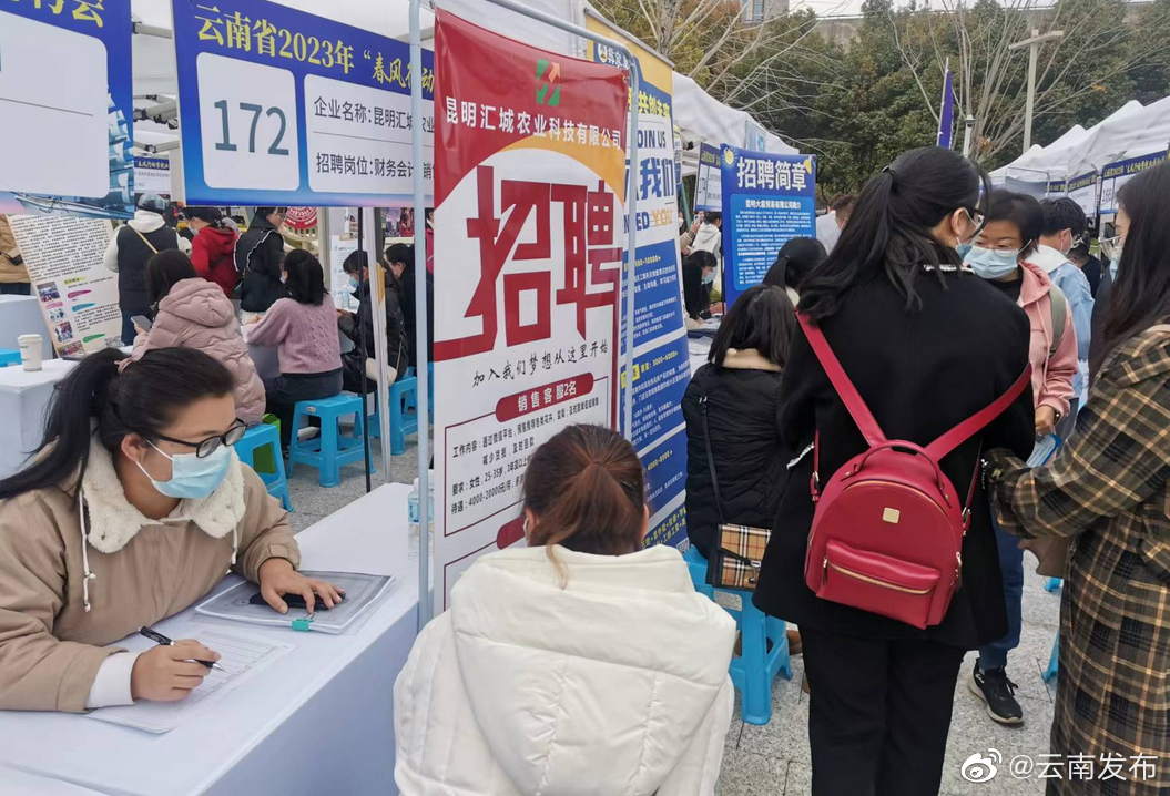 提供2.25万个岗位！云南举行“春风行动暨就业援助月”专场招聘活动