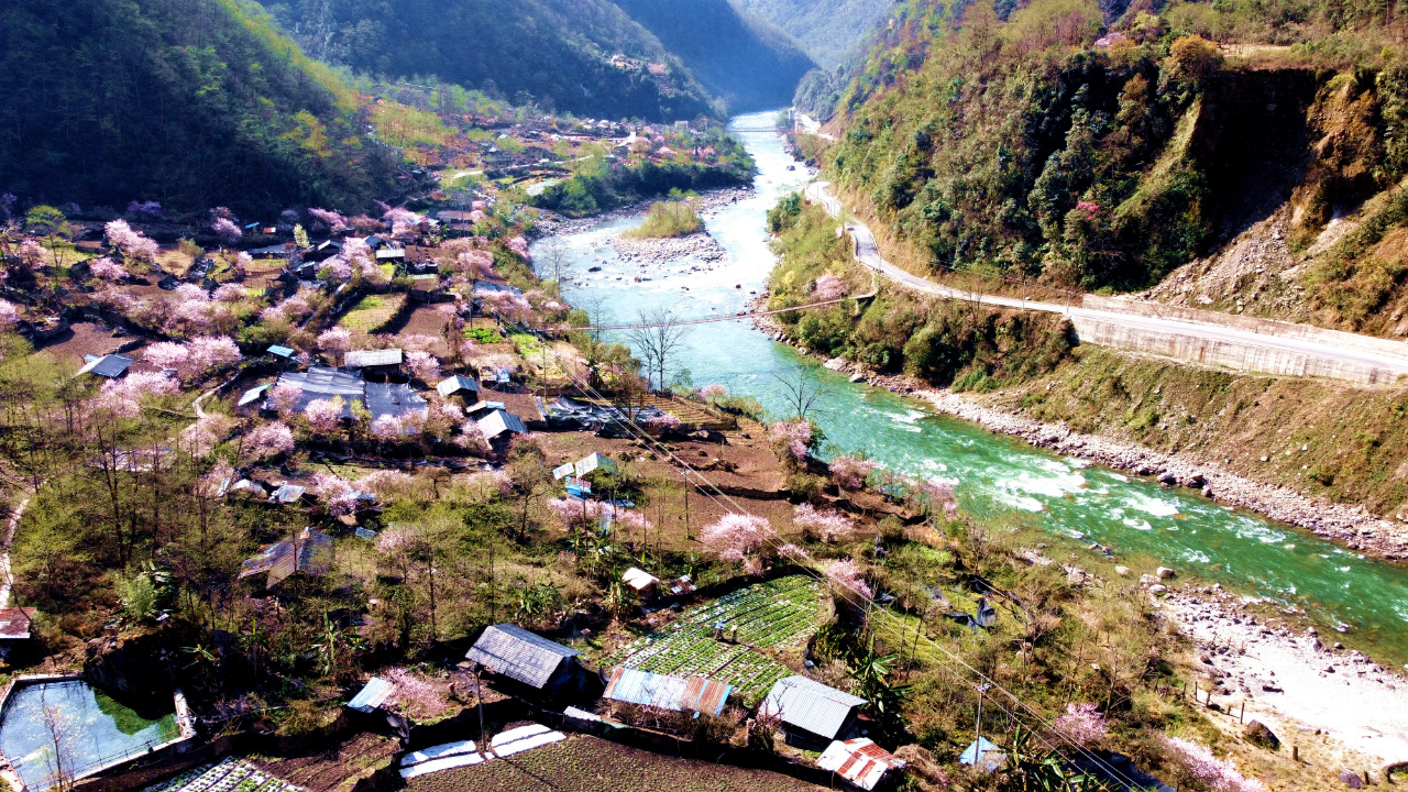 云南省文化和旅游厅