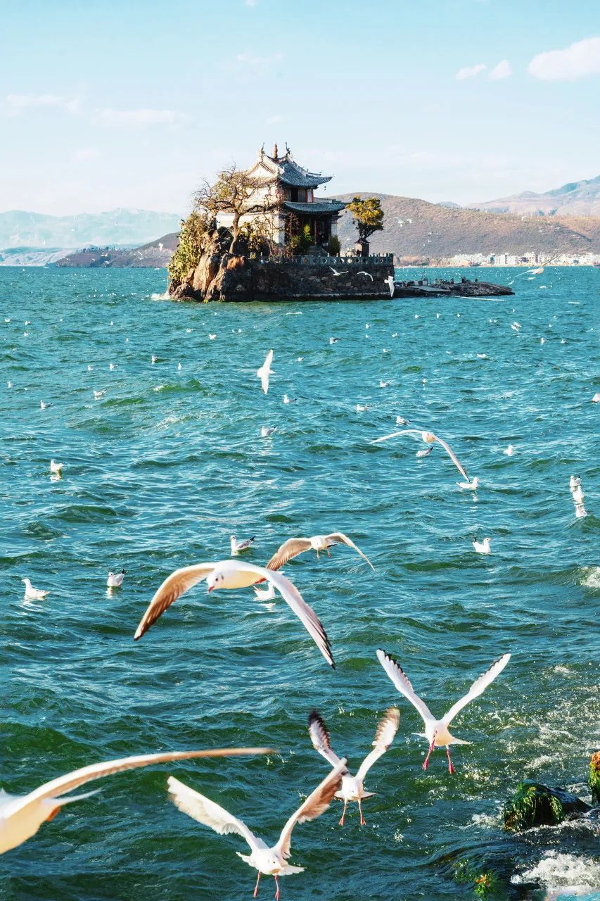 一部手机游云南