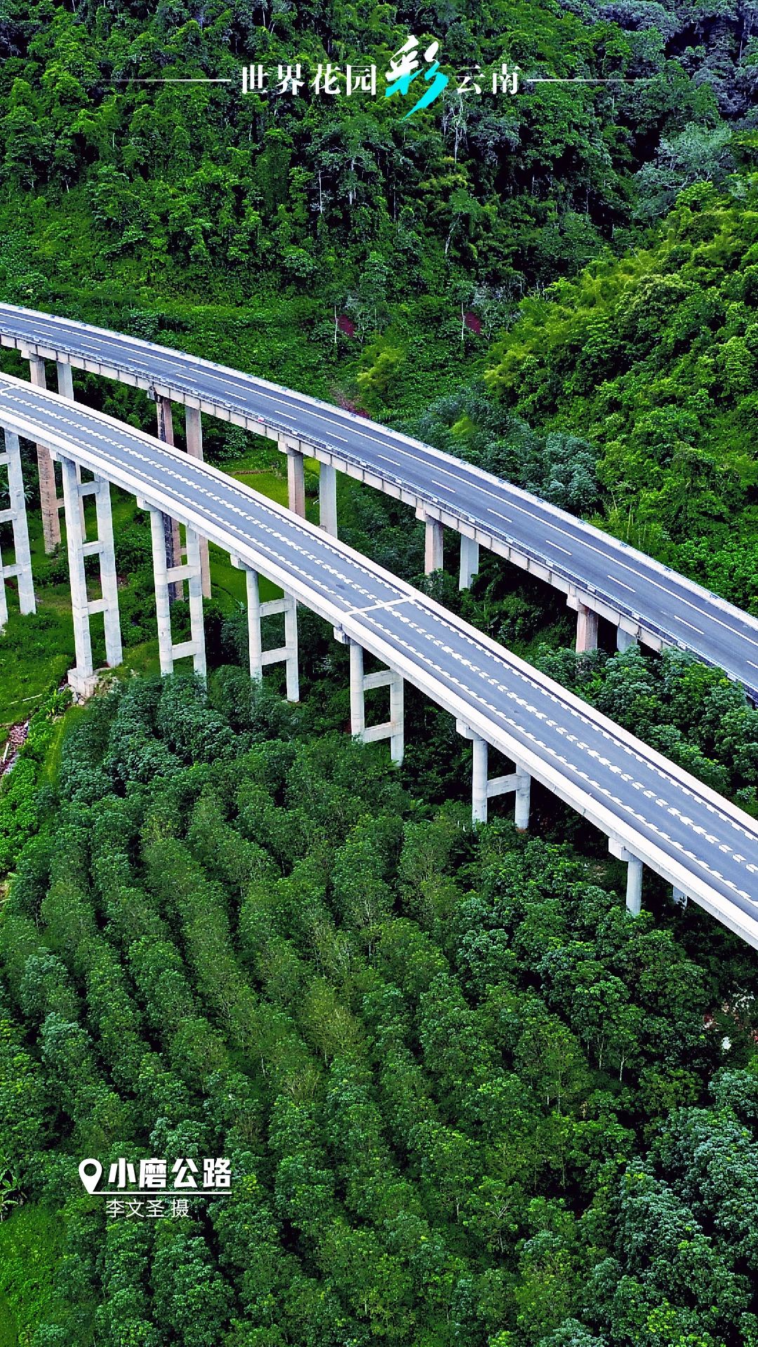 云南省文化和旅游厅