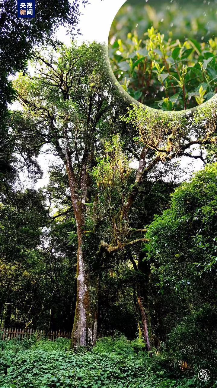 云南省文化和旅游厅