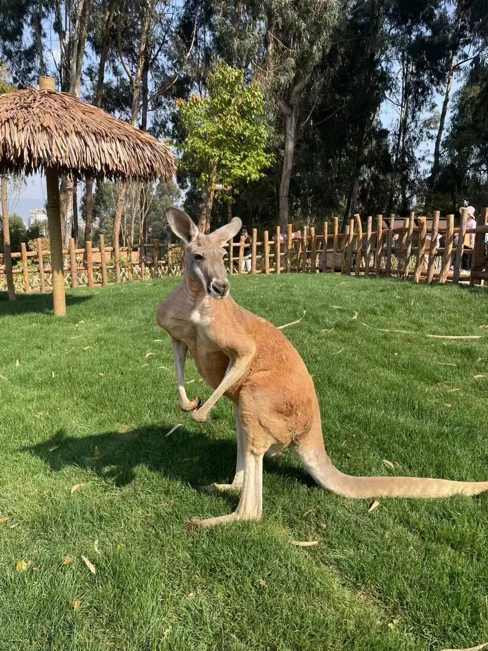 云南野生动物园