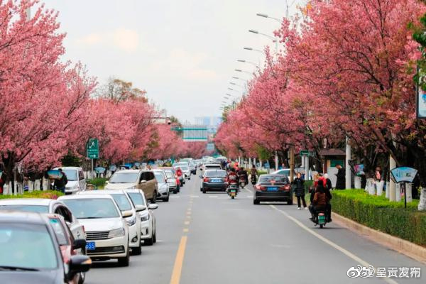 呈贡发布