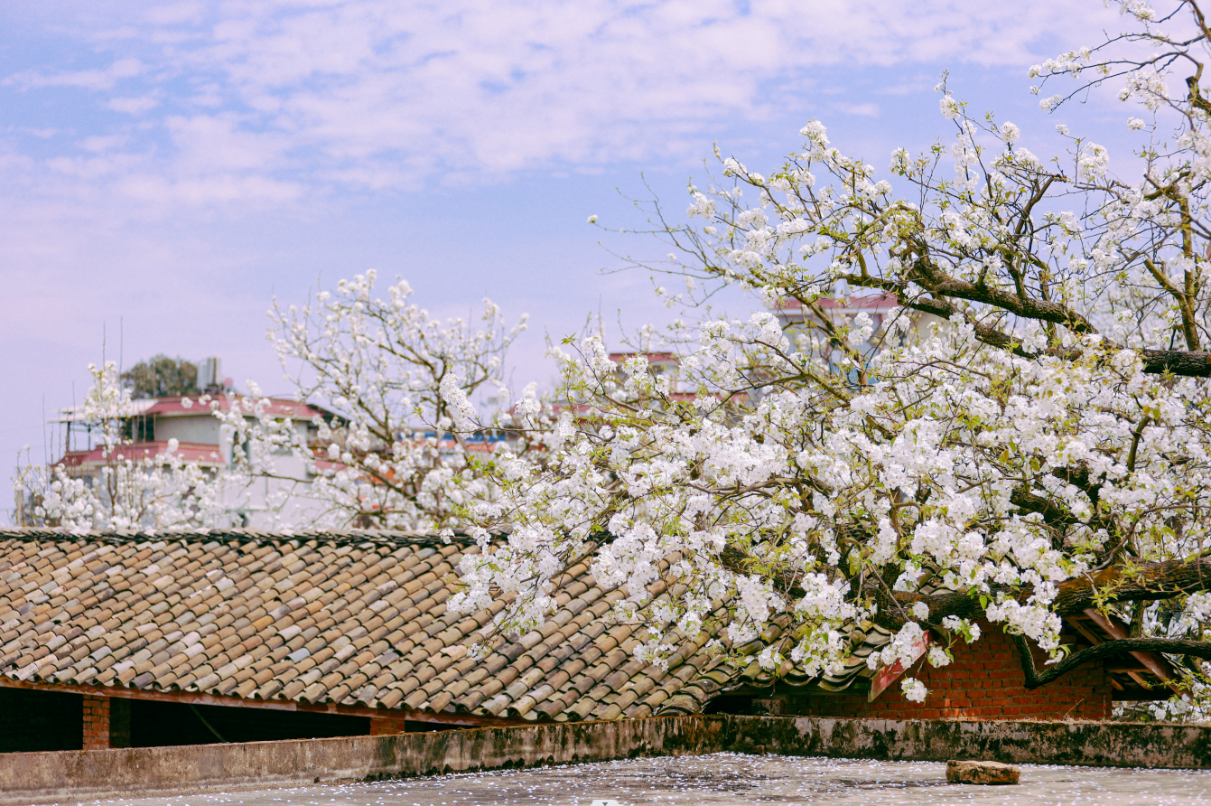 云南省文化和旅游厅