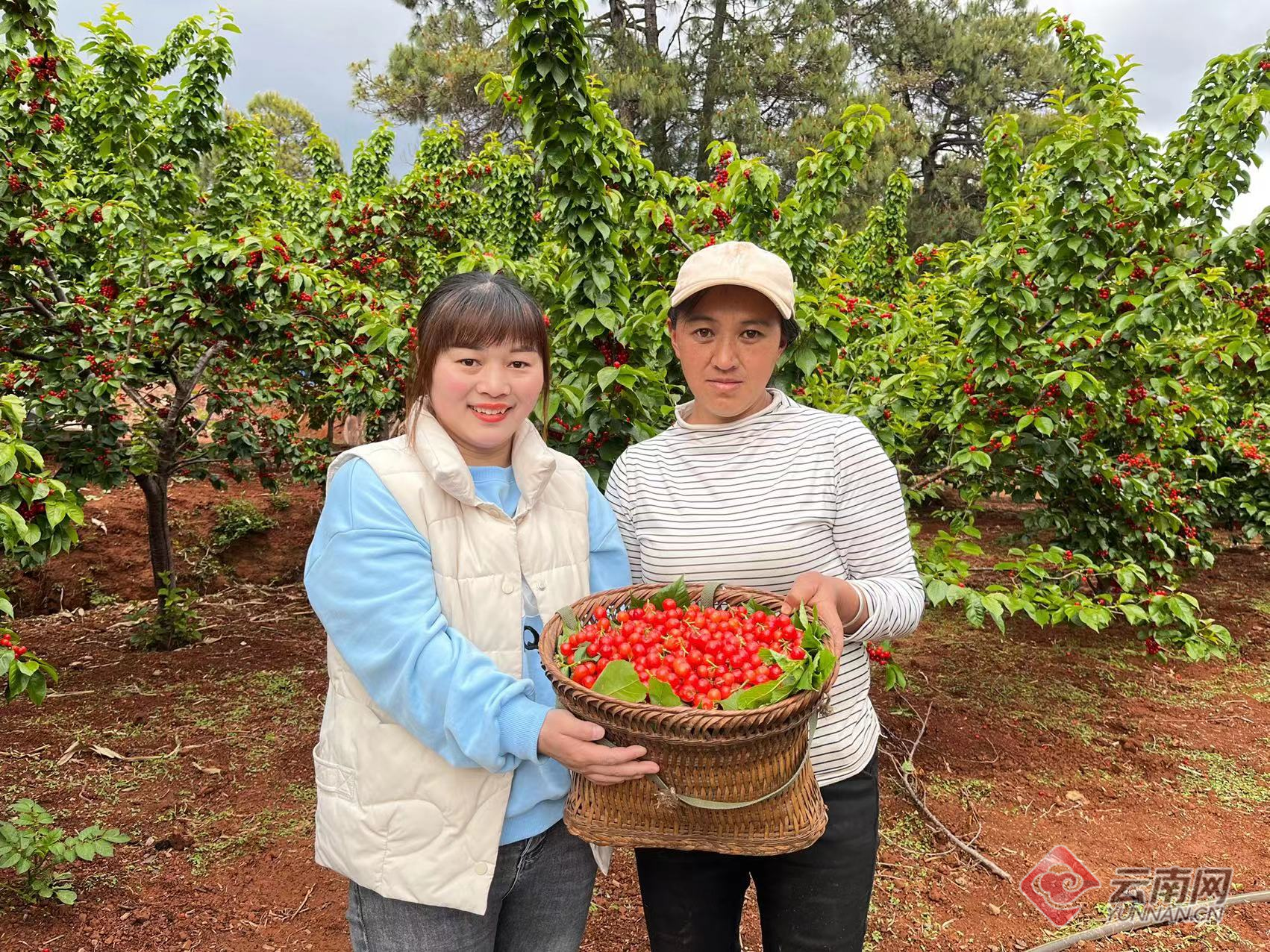 云南省文化和旅游厅