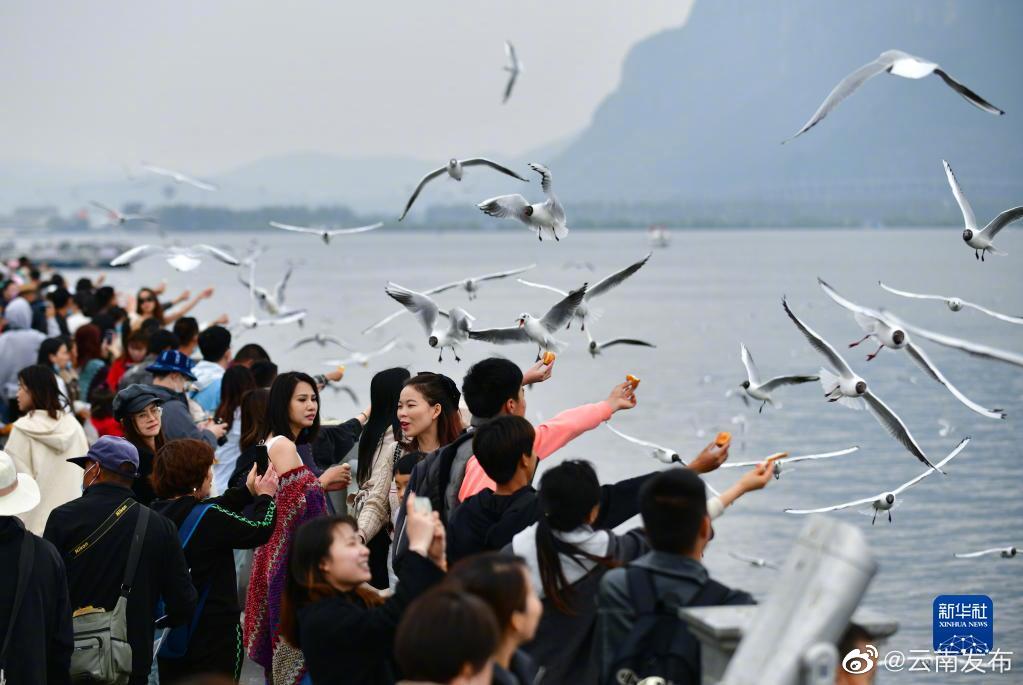 “云南发布”微博