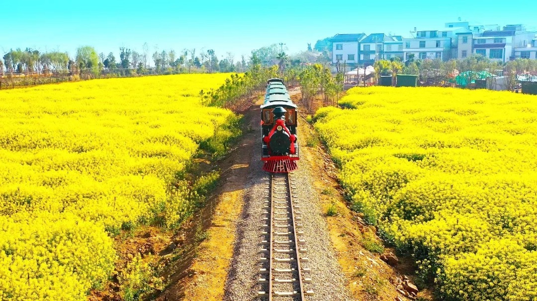 云南省文化和旅游厅