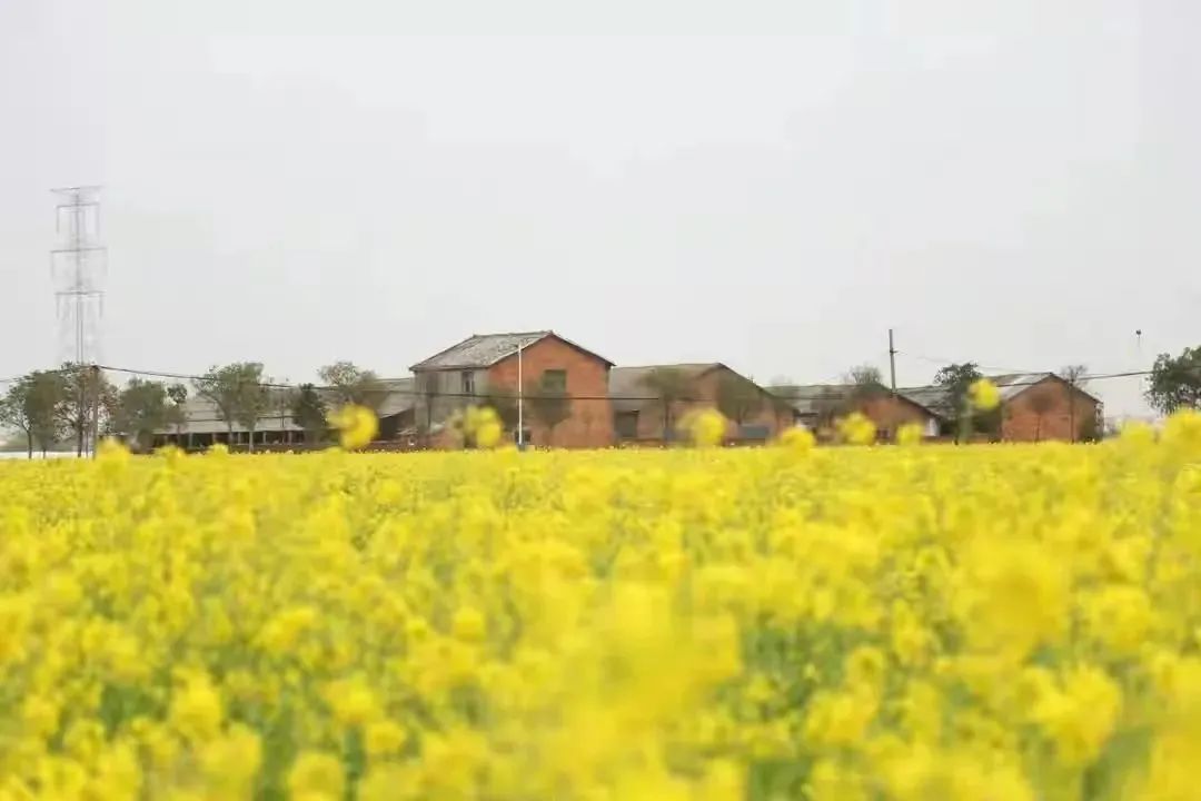 红河日报