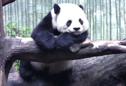 昆明五华发布
