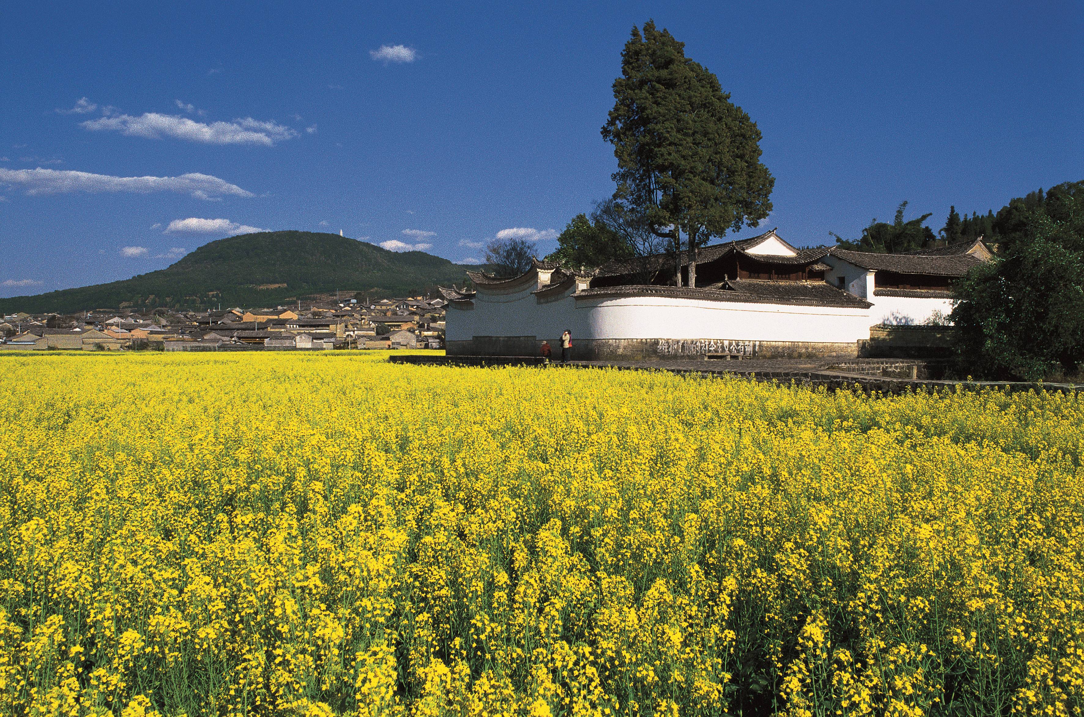 云南省文化和旅游厅