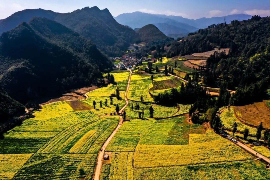 云南省文化和旅游厅