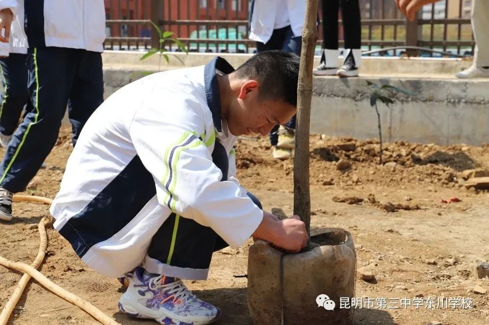 东川教育