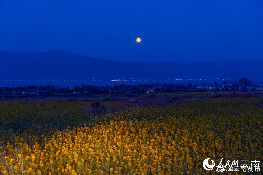 “云南发布”微博