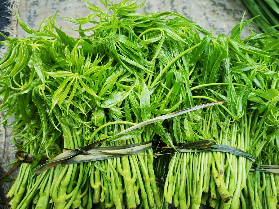 新华网云南频道