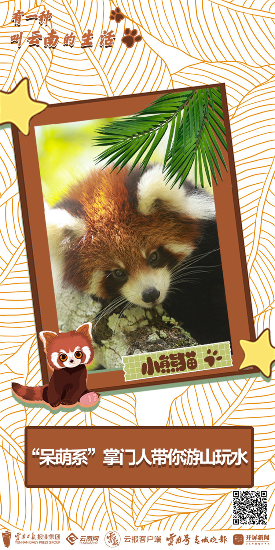 云南省文化和旅游厅