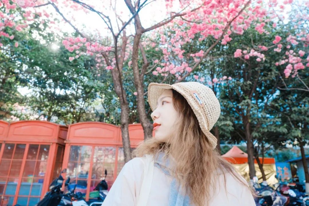 一部手机游云南