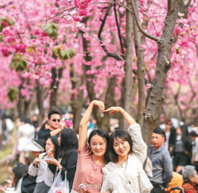“保山市”，人民日报海外版点赞云南旅游