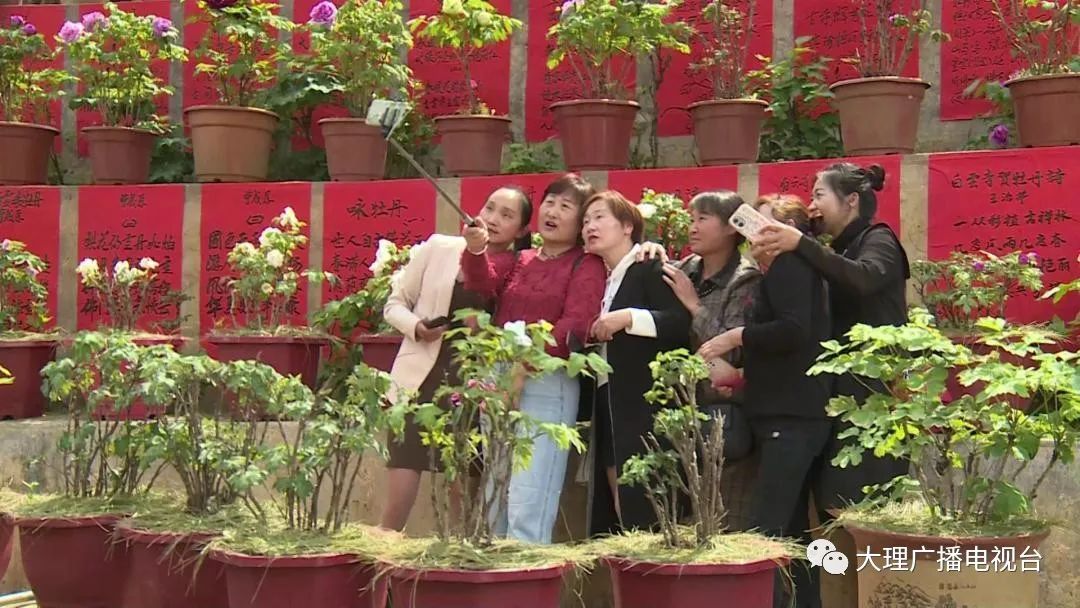 大理电视台