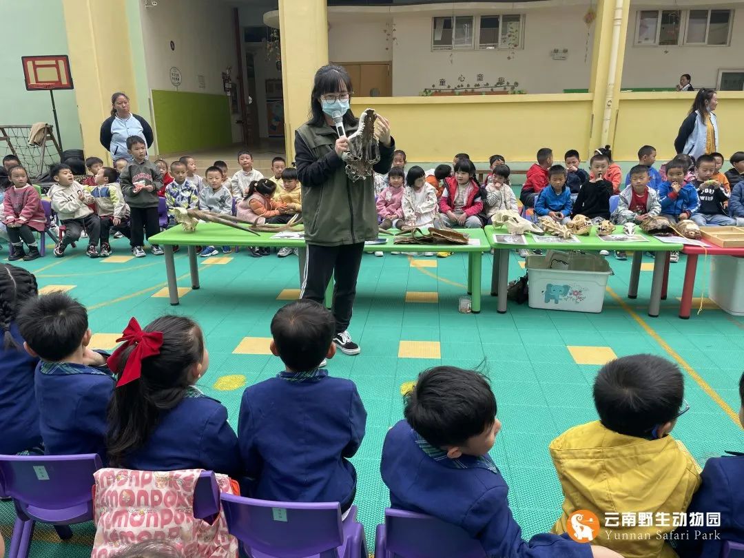 云南野生动物园