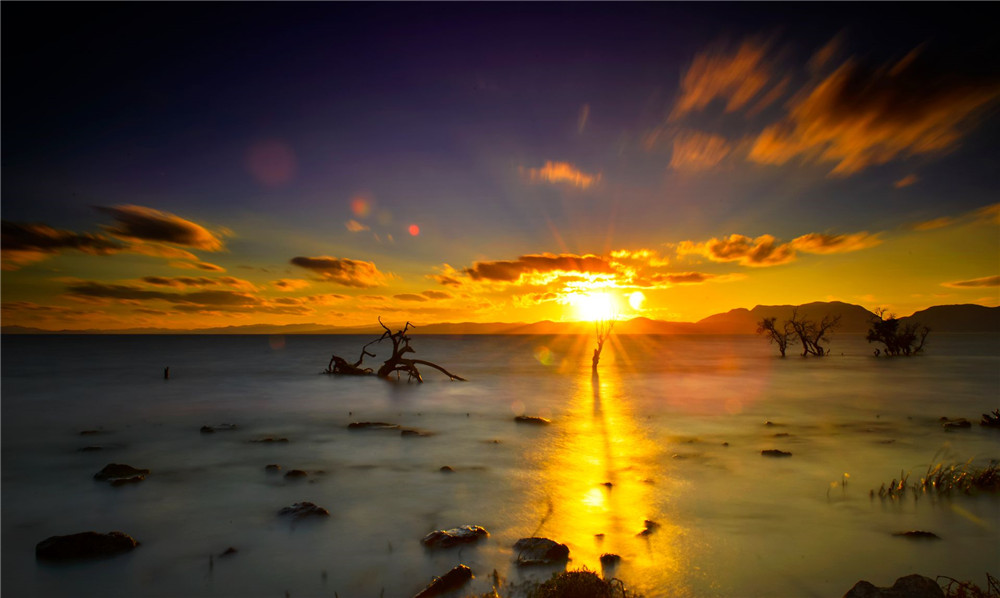 云南省文化和旅游厅