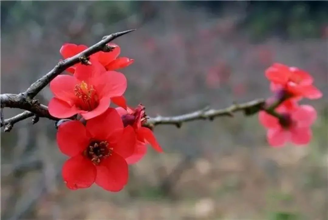 红河日报