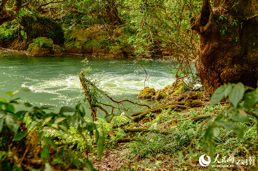 云南省文化和旅游厅