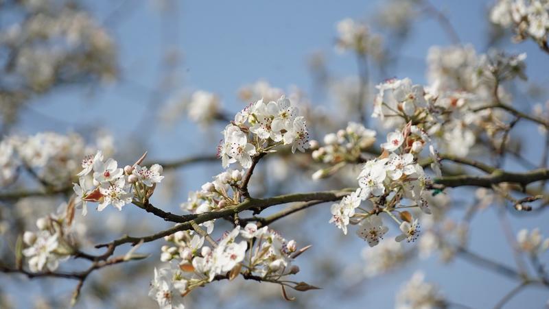 云南省文化和旅游厅