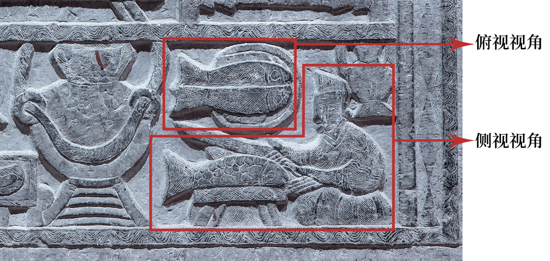 美丽云南微科普